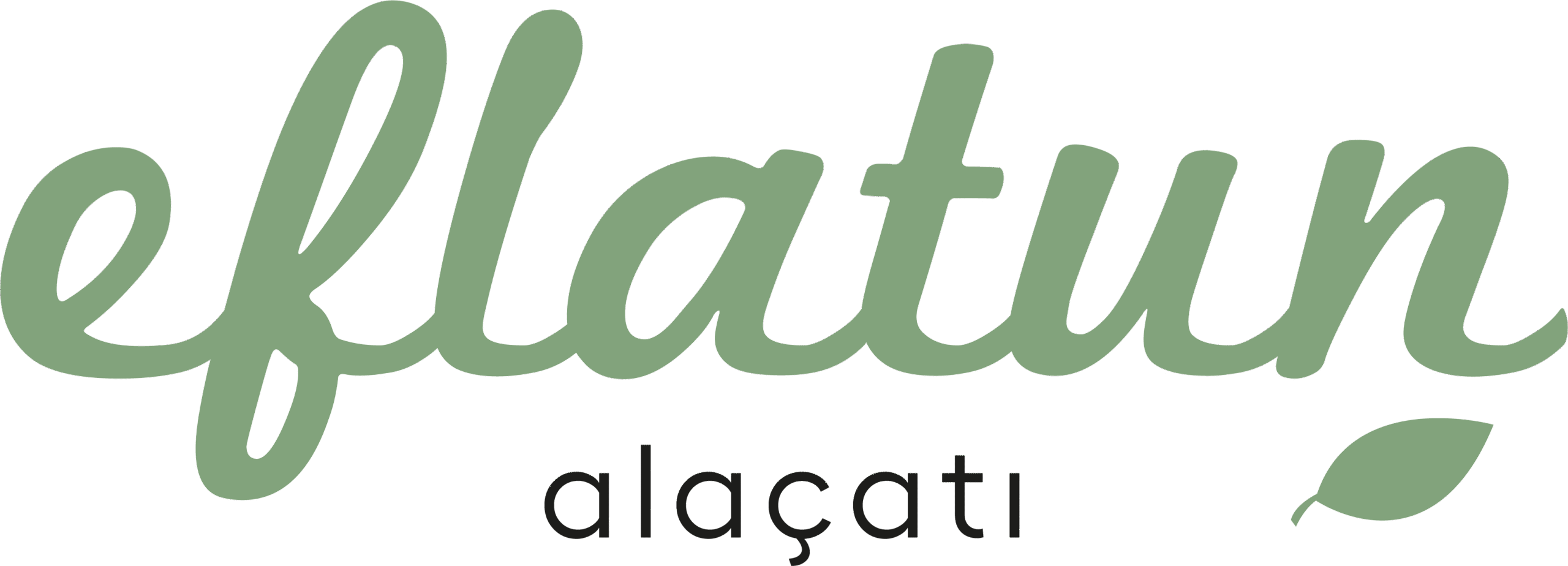 Eflatun Alaçatı